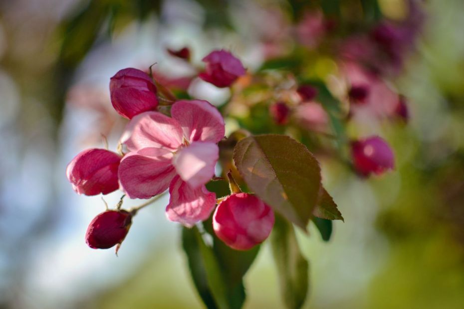 photo_2022-05-02_14-20-21-1