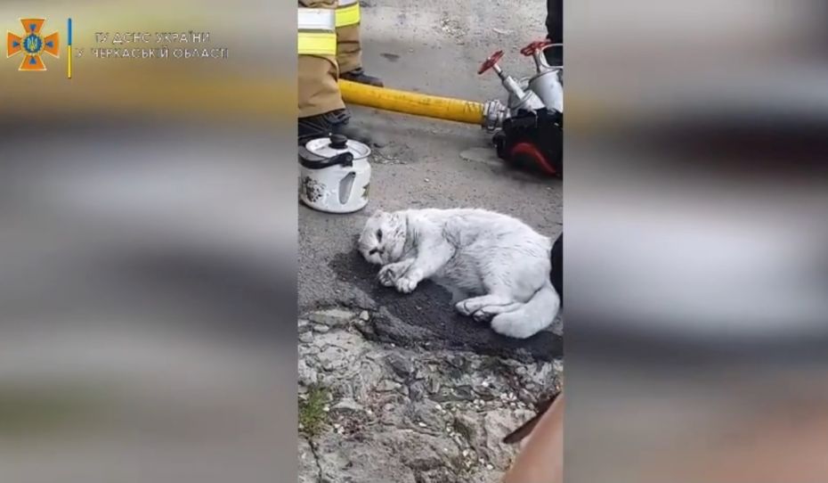 280114694_5217507151639739_654165889406689202_n