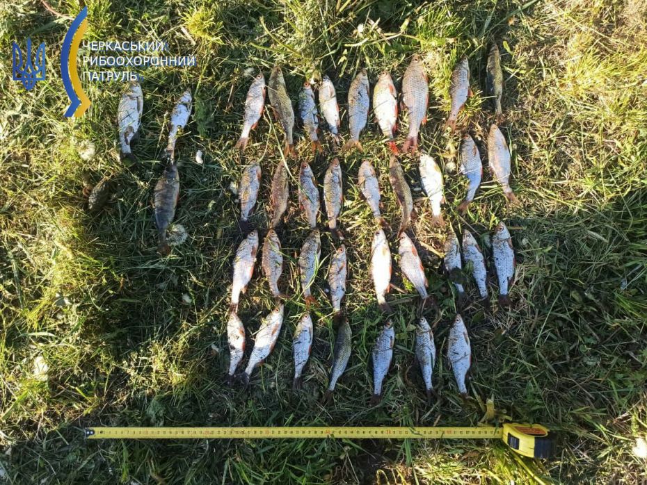 279495936_309821464663535_4182345954471973248_n