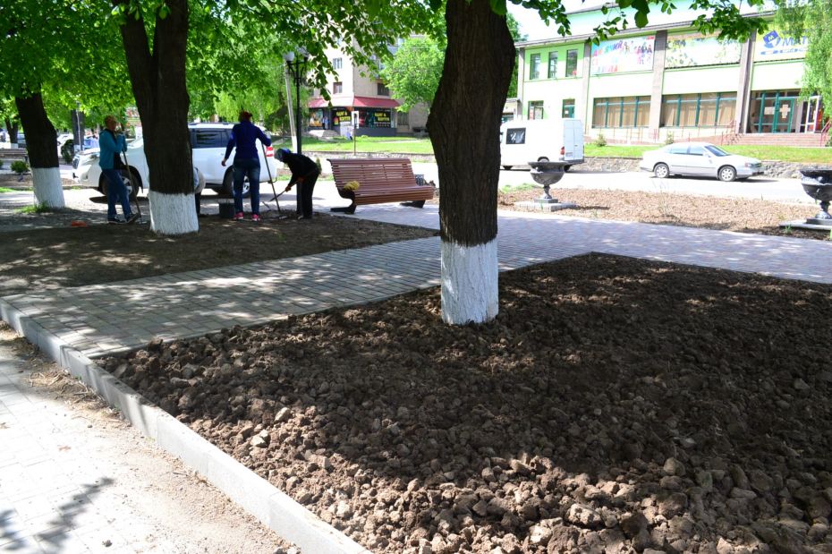 279775376_313364267643598_9211378406370270249_n