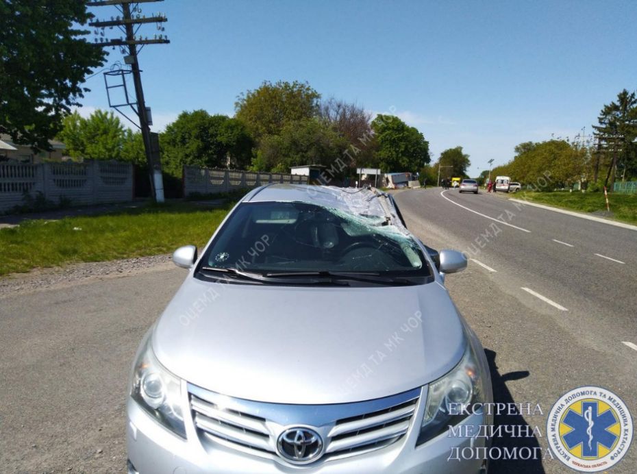 282624836_7482854635120199_6324857524514545923_n