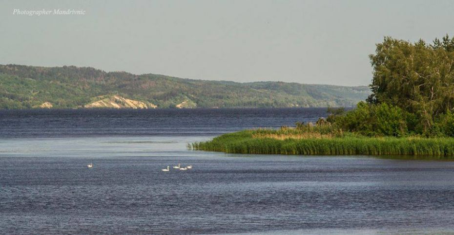 60240872_1219827101519639_5491380515619471360_n