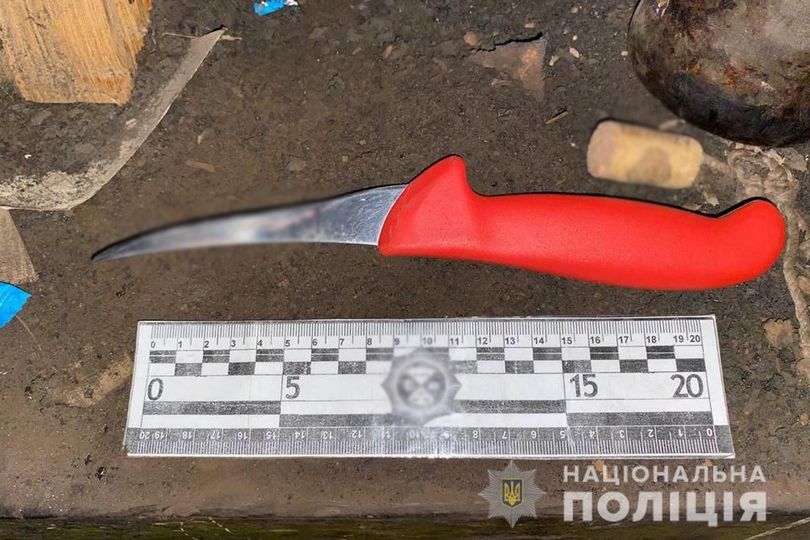 284525896_1359872387831624_7076616232175170053_n