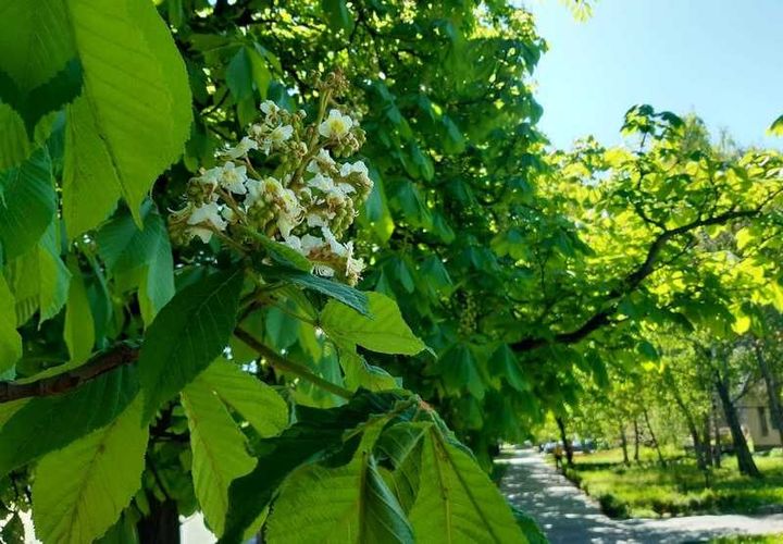 279269230_364815135677103_1712097629149238364_n