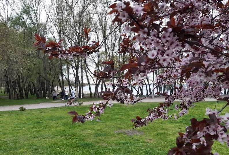 279061589_364126602412623_2451667387977375346_n