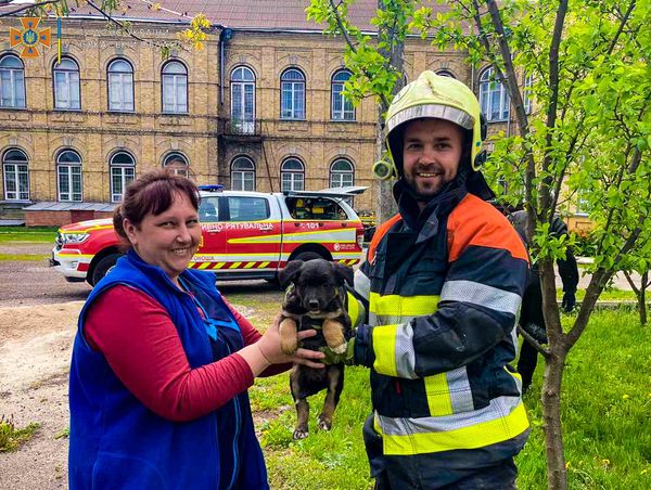 279906374_369241565240557_8524403811490216706_n