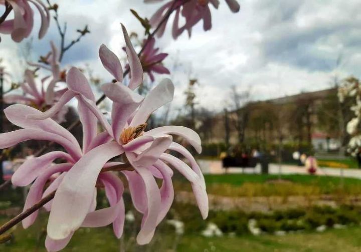 280177561_365432535615363_2119054404140930999_n