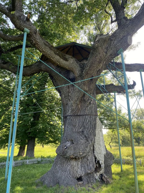 668477811_2361318857711106_5316342433225154953_n