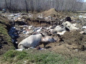 Фото з архіву Фото з архіву