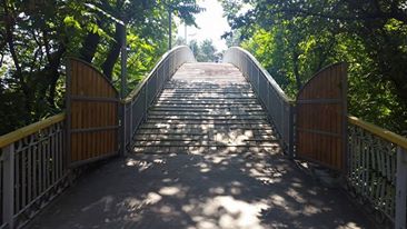Фото КП "Дирекція парків"