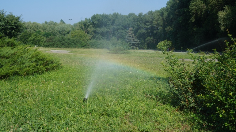 DSC05430