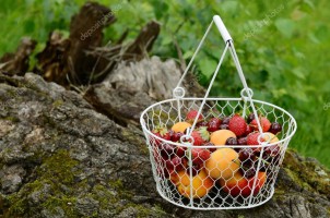 depositphotos_29137613-stock-photo-picnic-with-mixed-berries-and-e1530534631802
