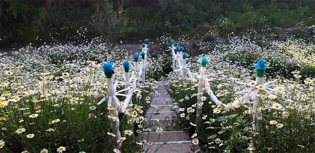 65603992_451896625611701_936397673341124608_n