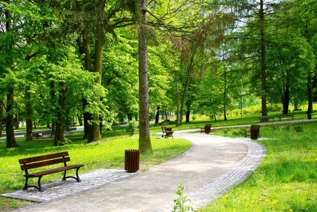 depositphotos_4582193-stock-photo-beautiful-spring-park