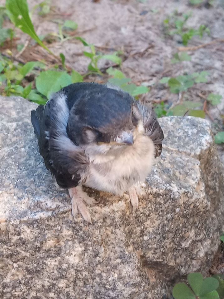 74569444_3212748685464515_3847178399470583808_o