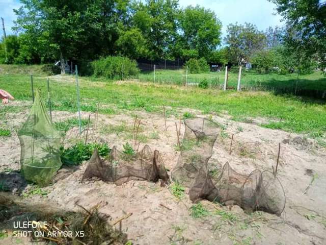результати рейдів