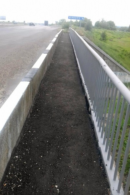 106124733_10213555312956312_8824376010664182123_o