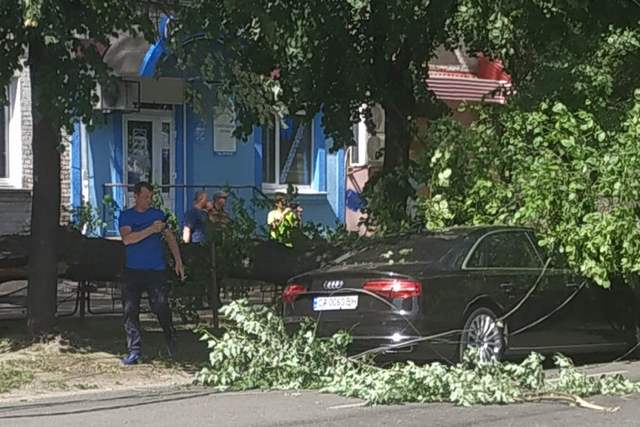 Фото Сергія Кузляєва