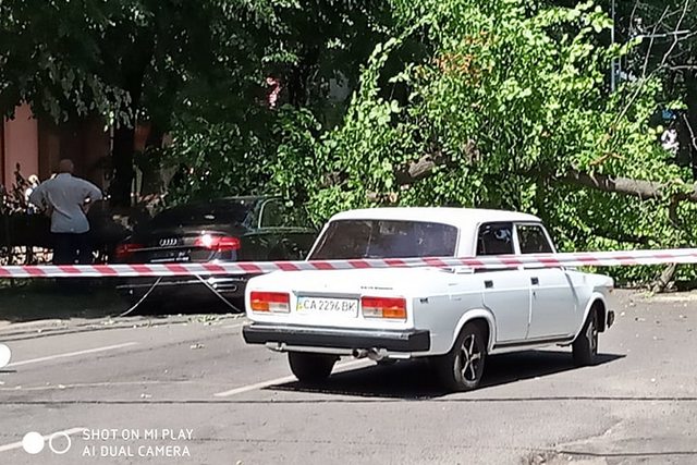 Фото видання Кропива