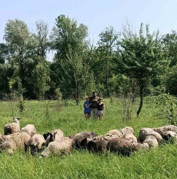 Повернувшись зі Сходу країни колишній військовий зайнявся фермерством (2)