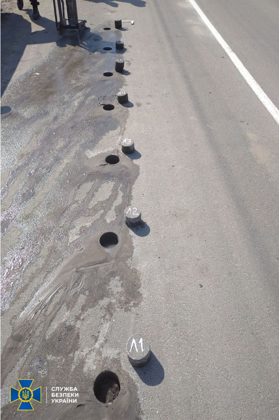 205073473_1439908576388329_7041060077033936490_n