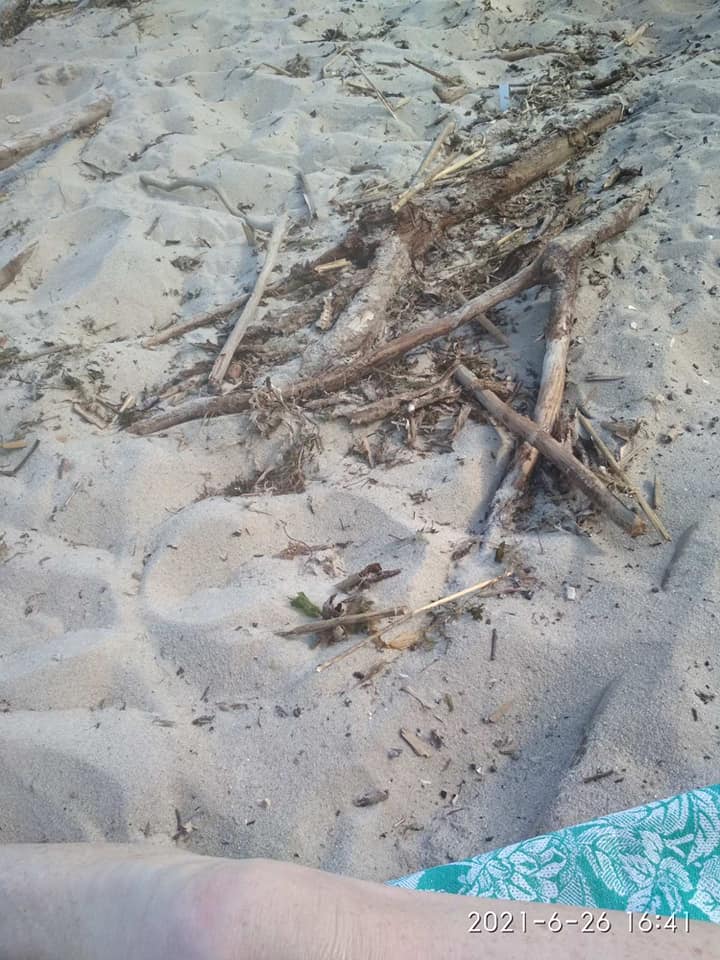 204208460_1410190946008649_5977937136539760916_n