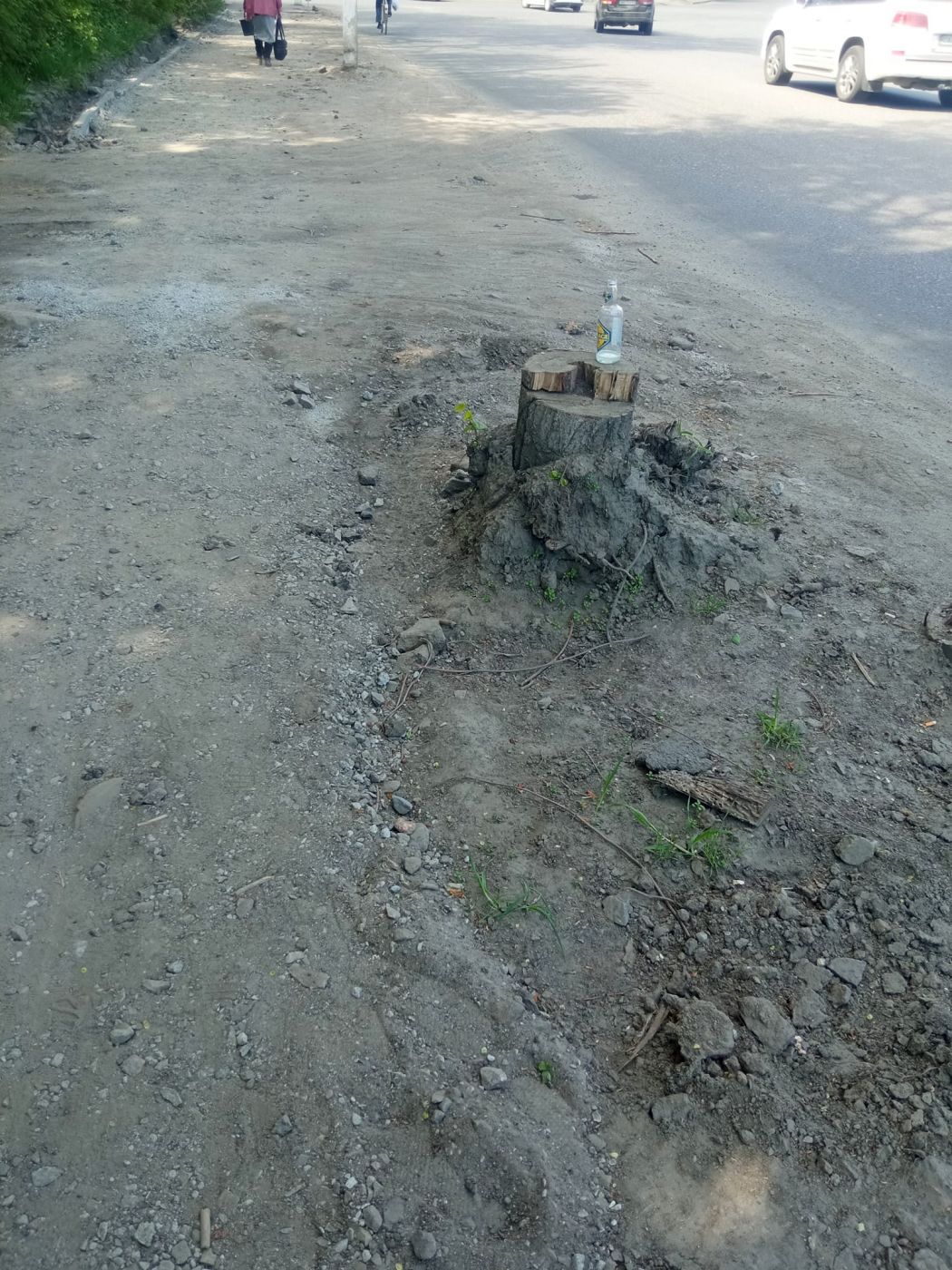 279902816_4960999527288379_5462106137062814373_n