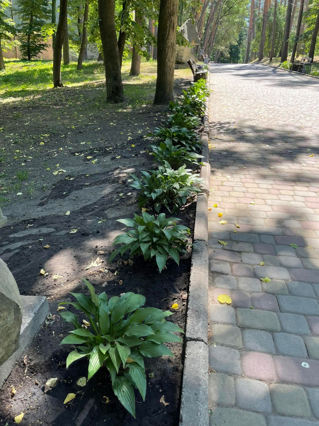 289740614_106996348721159_3146420888013088851_n