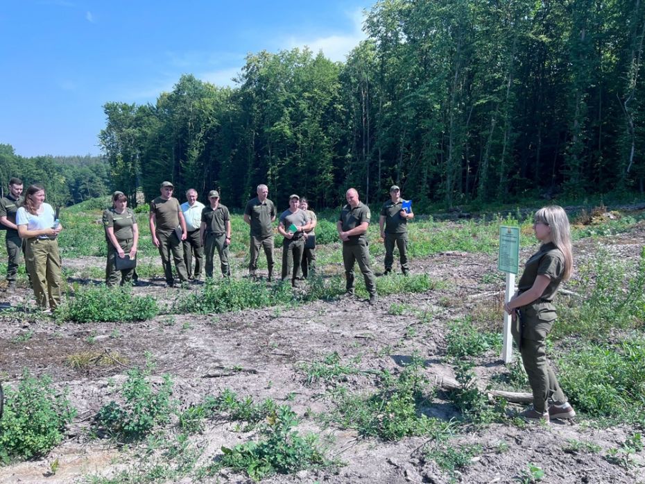 291446497_402451865247486_7608576279647870453_n