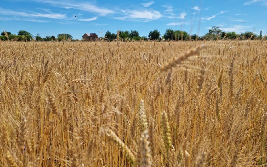 photo_2022-07-07_11-04-31