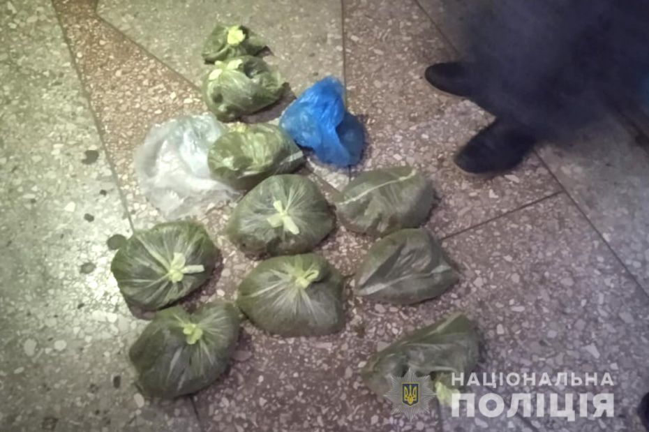 288838307_1373654616453401_7119067088362877474_n