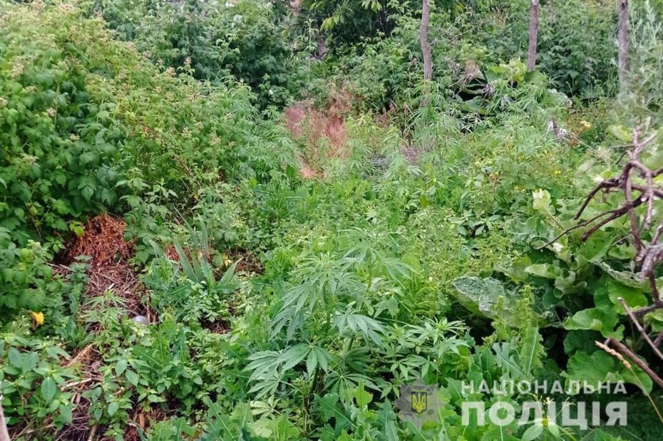 290310136_1378476212637908_6536846952449037806_n