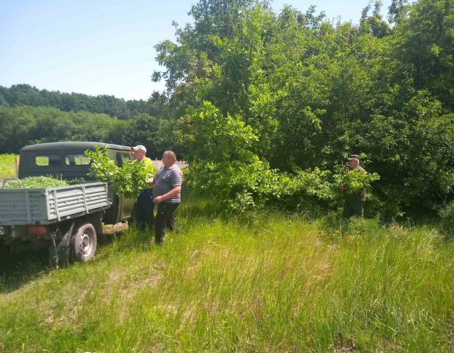 зображення_viber_2022-06-30_14-24-54-674