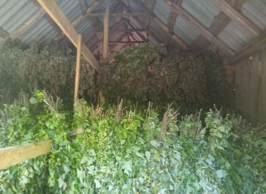 зображення_viber_2022-06-30_14-24-58-905