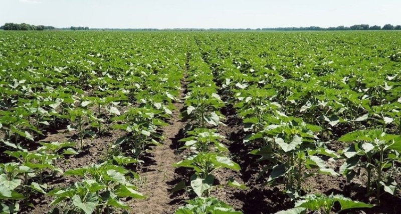 286585401_385752740250009_1715912504943655523_n