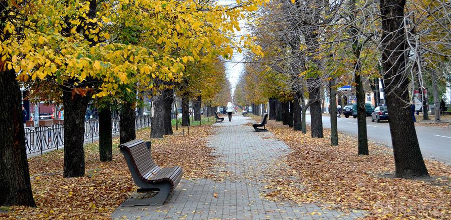 bulvar-shevchenka.12