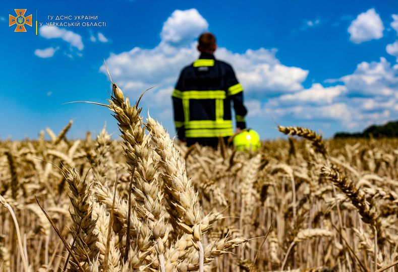 292580120_409508214547225_4618732882312453264_n