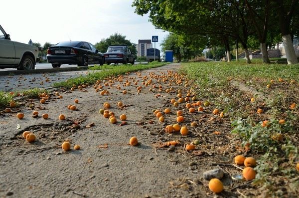 36941530_10214457960956164_6916520947277103104_n