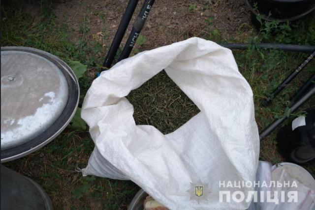 mankivka3