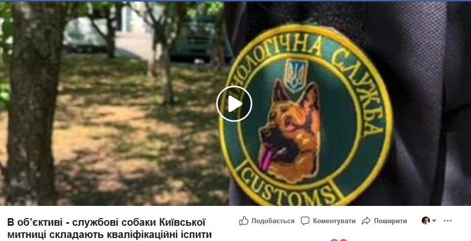 Родина фото