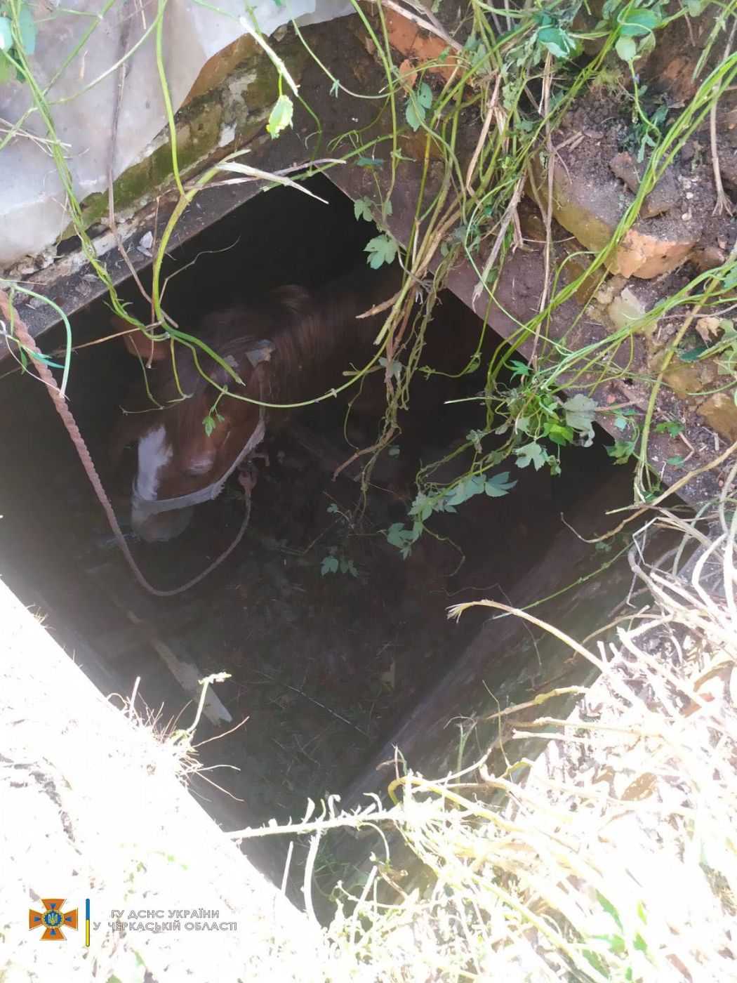 IMG-ccc072f229dcab07cb21b98ea6d60dfd-V