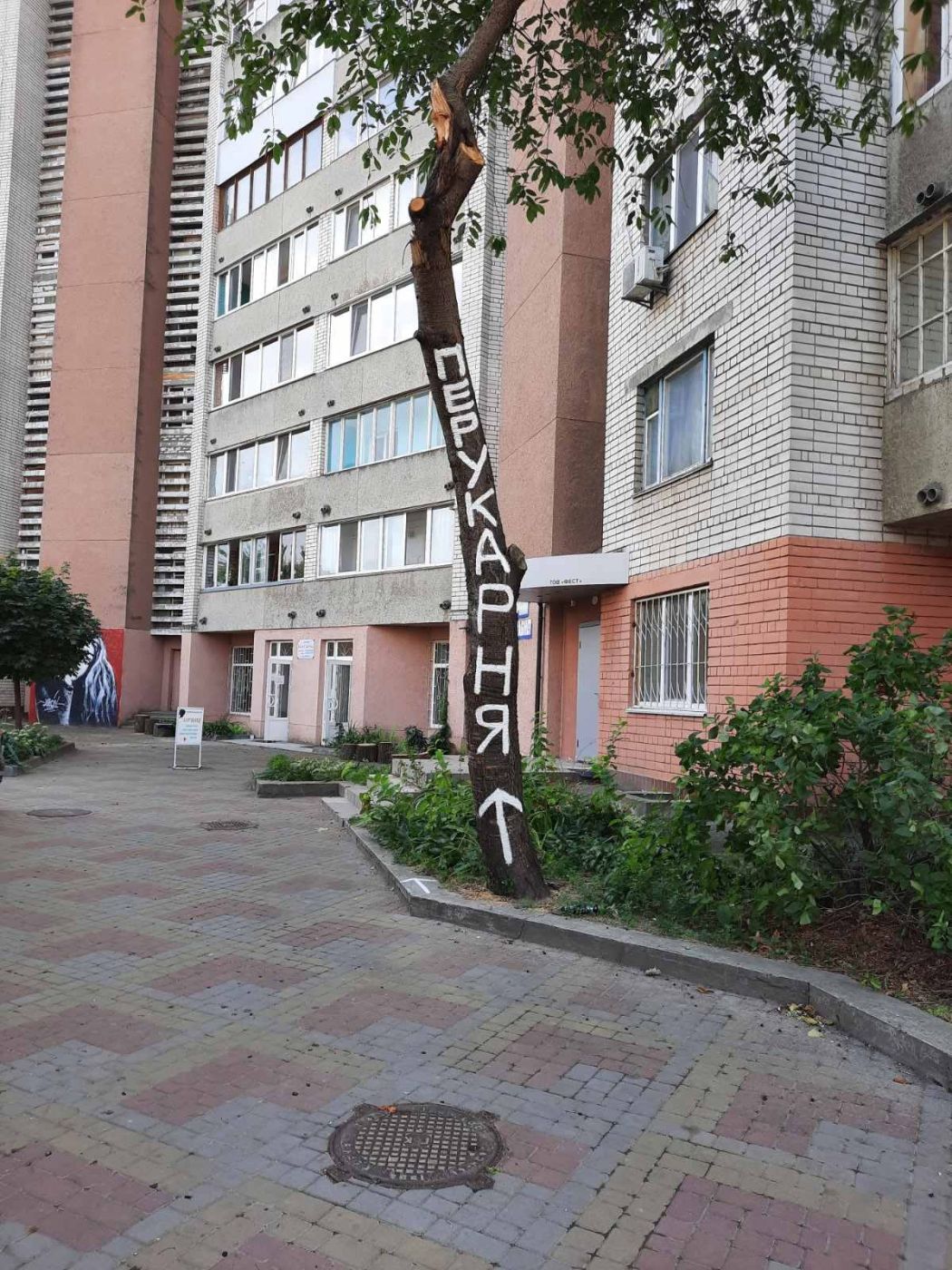 224444196_387925316085473_7530541136213068174_n