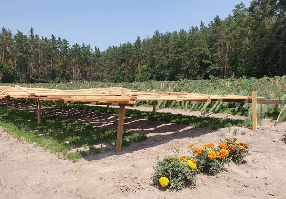 218077203_910948326154144_6257167735515311644_n