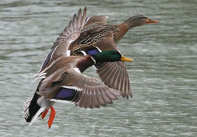 213602537_4292119110826552_7859415700029959963_n