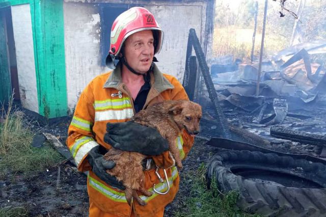 215804218_4181227281913881_6757793493459864480_n