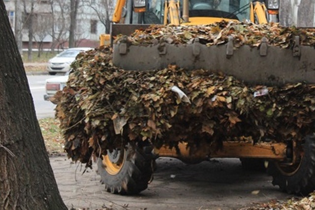 XDOyaVujNwjWSB1sFVVh