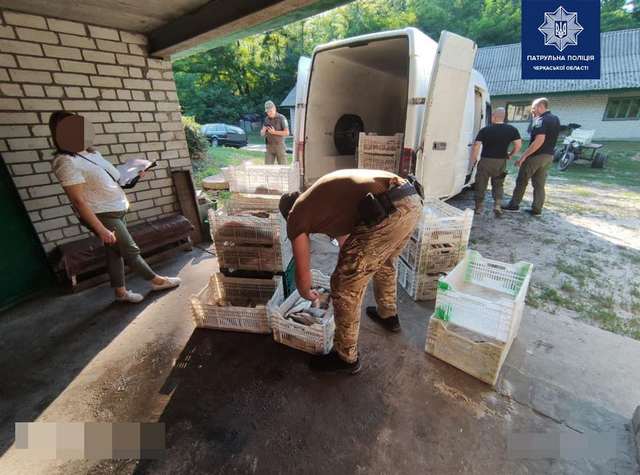 224030102_4154188927992485_4657106056992761995_n