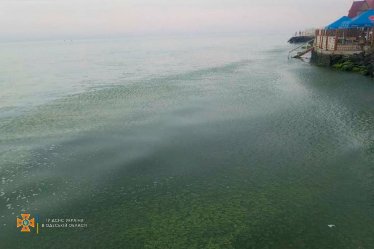 218601242_2046987128804186_2411192154321248082_n