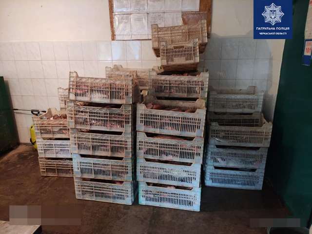 226264156_4154189034659141_590390178609797786_n