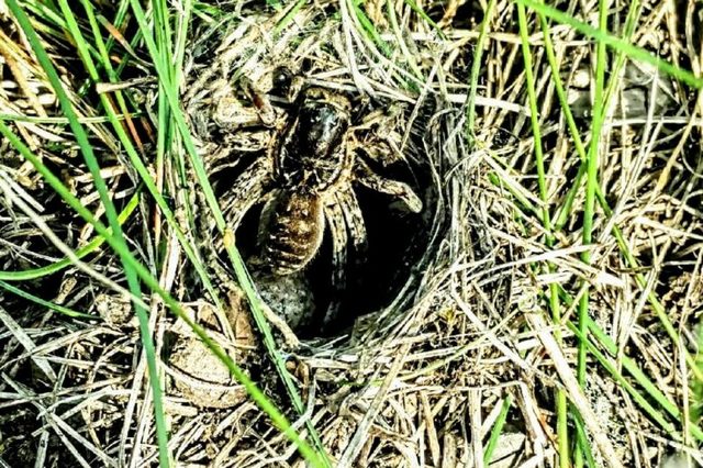 225835403_625758038403028_5876900202717268338_n-779x1024